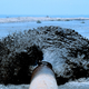Illustration for article titled The Mississippi River Is A Land-Making Machine: Dredgefest 2014